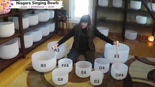 11 Minute Sound Bath with Low E from Nature Sounds Video